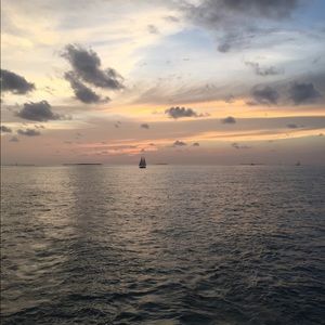 Meet your Posher, Tracie